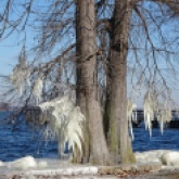 ice on the lake 5