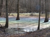 Rainbow effect on the water 6